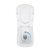 Qtap Tern унітаз підлоговий безбарвний Ultra Quiet сидіння Slim Duroplast/Soft-close/Quickrelase 560x340x400